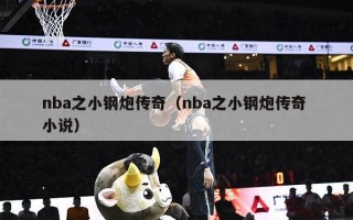 nba之小钢炮传奇（nba之小钢炮传奇 小说）