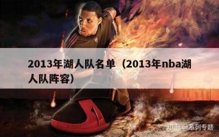 2013年湖人队名单（2013年nba湖人队阵容）