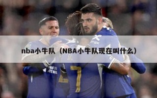 nba小牛队（NBA小牛队现在叫什么）