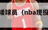 nba现役最矮球员（nba现役最矮球员球衣号码）