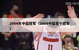 2004年中超冠军（2004中超首个冠军）