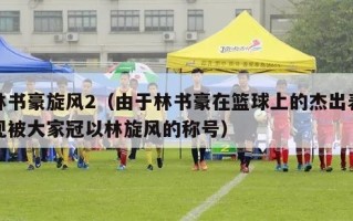 林书豪旋风2（由于林书豪在篮球上的杰出表现被大家冠以林旋风的称号）