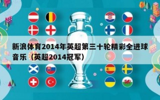 新浪体育2014年英超第三十轮精彩全进球音乐（英超2014冠军）