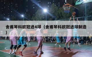 舍甫琴科欧冠进4球（舍甫琴科欧冠进球制造）