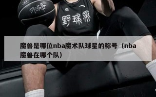 魔兽是哪位nba魔术队球星的称号（nba魔兽在哪个队）