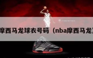 摩西马龙球衣号码（nba摩西马龙）