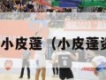 nba小皮蓬（小皮蓬资料）