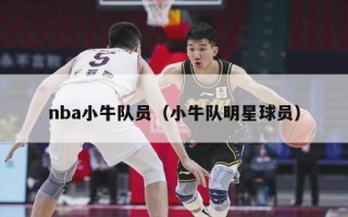 nba小牛队员（小牛队明星球员）