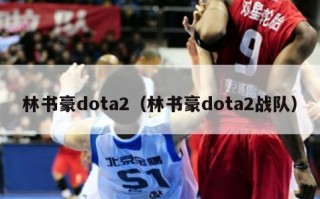 林书豪dota2（林书豪dota2战队）