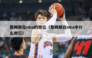 詹姆斯在nba的地位（詹姆斯在nba中什么地位）