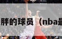 nba史上最胖的球员（nba最胖的后卫）