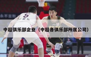 中超俱乐部企业（中超各俱乐部所属公司）