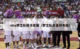 nba梦之队橙卡皮蓬（梦之队皮蓬和韦伯）