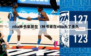 nba林书豪现在（林书豪在nba火了多久）