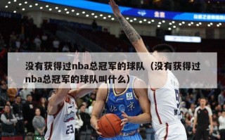 没有获得过nba总冠军的球队（没有获得过nba总冠军的球队叫什么）