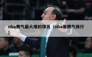 nba脾气最火爆的球员（nba暴脾气排行）