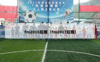 fm2016后腰（fm2017后腰）