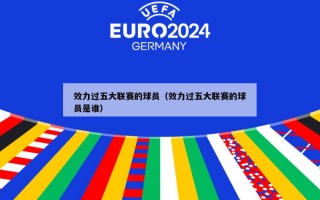 效力过五大联赛的球员（效力过五大联赛的球员是谁）