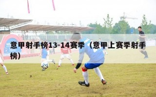 意甲射手榜13-14赛季（意甲上赛季射手榜）