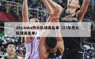 2013nba热火队球员名单（13年热火队球员名单）