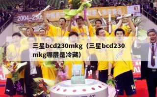 三星bcd230mkg（三星bcd230mkg哪层是冷藏）