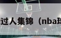 nba教授过人集锦（nba球星教授）