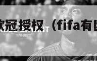 fifa18欧冠授权（fifa有欧冠版权吗）