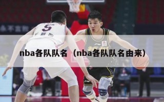 nba各队队名（nba各队队名由来）