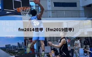 fm2014德甲（fm2019德甲）