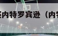 nba扣篮大赛内特罗宾逊（内特罗宾逊灌篮视频）