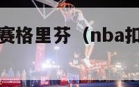 nba扣篮大赛格里芬（nba扣篮大赛格里芬是谁）