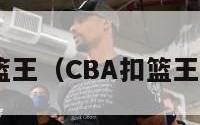 cba扣篮王（CBA扣篮王矣进宏）