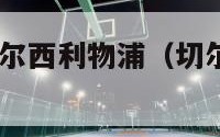 0809欧冠切尔西利物浦（切尔西利物浦欧洲超级杯）