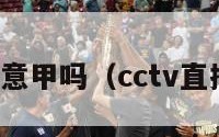 央视直播意甲吗（cctv直播意甲吗）