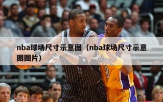 nba球场尺寸示意图（nba球场尺寸示意图图片）