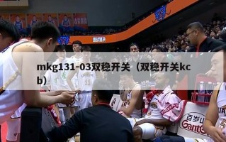 mkg131-03双稳开关（双稳开关kcb）