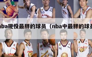 nba现役最胖的球员（nba中最胖的球员）