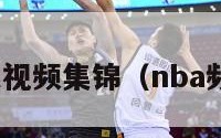 nba新浪视频集锦（nba频道新浪）