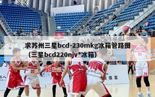 求苏州三星bcd-230mkg冰箱管路图（三星bcd220njv*冰箱）