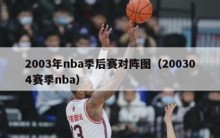 2003年nba季后赛对阵图（200304赛季nba）