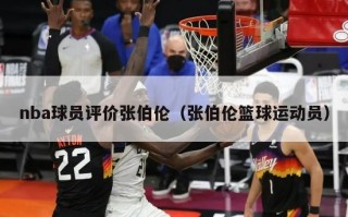 nba球员评价张伯伦（张伯伦篮球运动员）