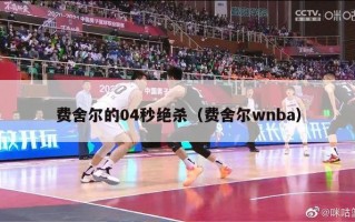 费舍尔的04秒绝杀（费舍尔wnba）