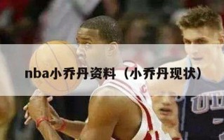 nba小乔丹资料（小乔丹现状）