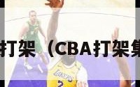 cba打架（CBA打架集锦）