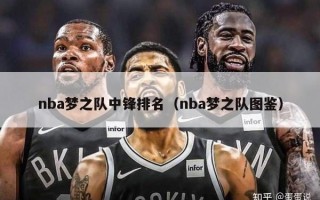 nba梦之队中锋排名（nba梦之队图鉴）