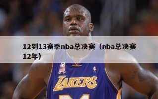 12到13赛季nba总决赛（nba总决赛12年）