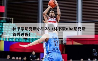 林书豪尼克斯小牛28（林书豪nba尼克斯首秀过程）