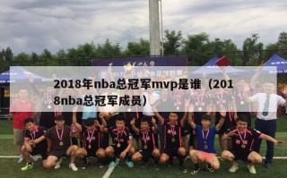 2018年nba总冠军mvp是谁（2018nba总冠军成员）