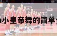 nba小皇帝舞的简单介绍