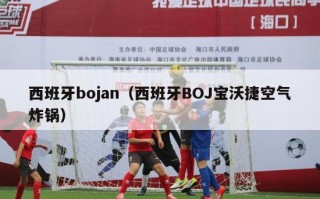 西班牙bojan（西班牙BOJ宝沃捷空气炸锅）